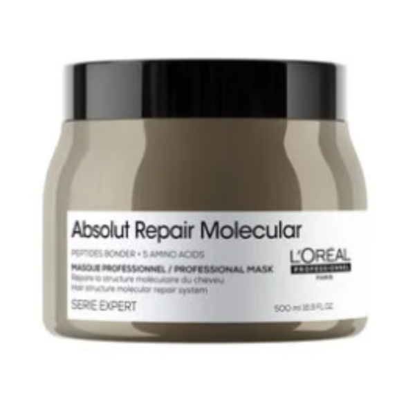 Mascarilla Loreal Serie Expert Absolut Repair Molecular Mask 500ml