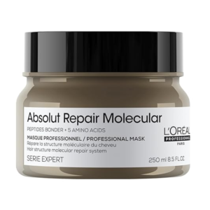 Mascarilla Loreal Serie Expert Absolut Repair Molecular Mask 300ml